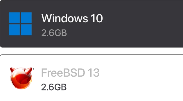 Interface showing Windows 10 & FreeBSD virtual machine image options