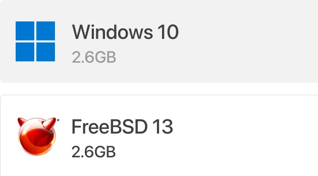 Interface showing Windows 10 & FreeBSD virtual machine image options