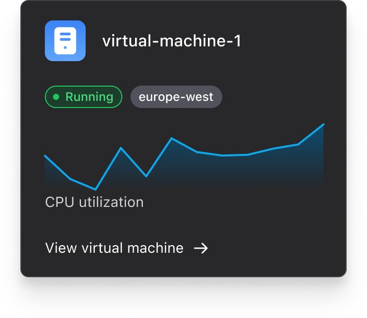 Virtual machine interface card