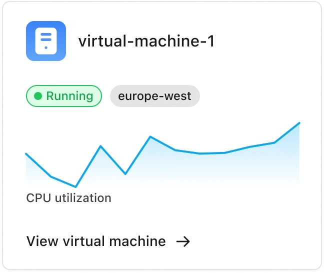Virtual machine interface card