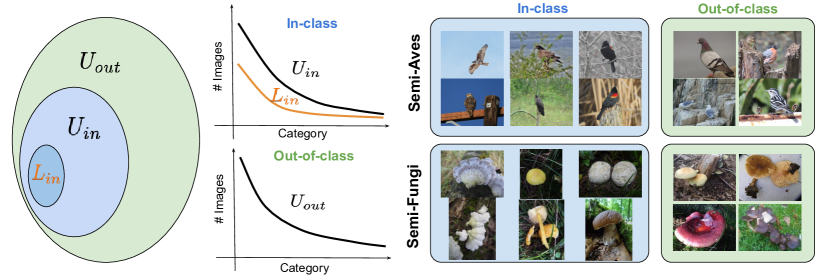 semi-supervised learning image 5